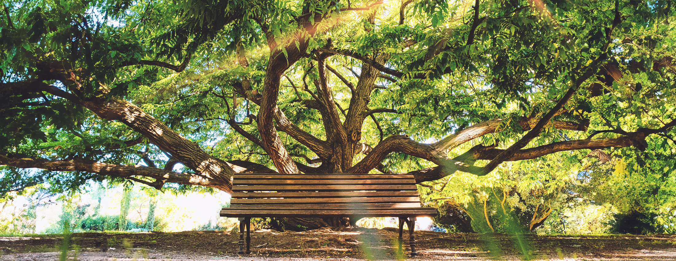 park-needleworkguild